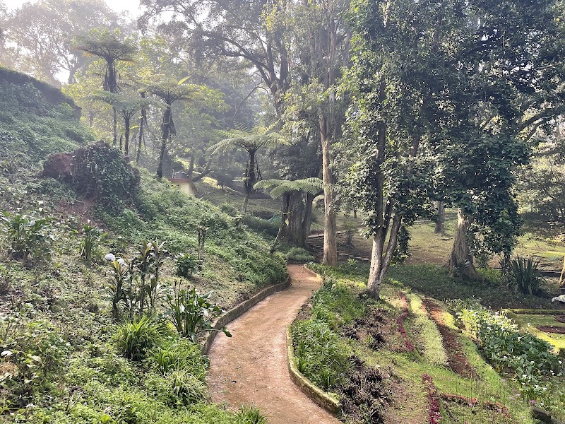 Sim's Park - Sim's Park, Sims park, Coonoor, Tamil Nadu 643101, India