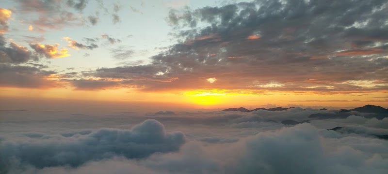 Aryana HomeStay - Aryana HomeStay Mussoorie Rd, Bhatta Gaon, Mussoorie, Uttarakhand 248122, India
