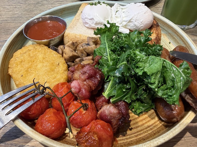 Common Grounds - Mall of the Emirates - Common Grounds - Mall of the Emirates Mall of Level 2 - البرشاء الأولى - البرشاء - دبي - United Arab Emirates