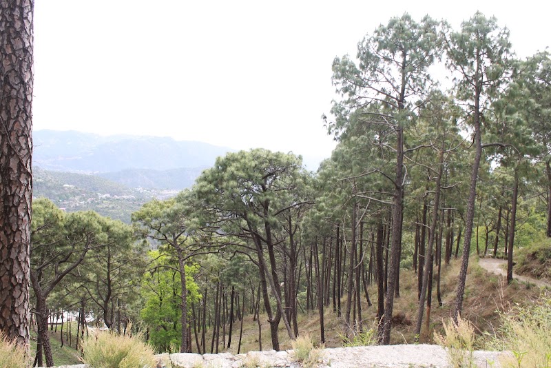 Cantonment Board Kasauli - Cantonment Board Kasauli, VXX9+X3G, Kasauli, Himachal Pradesh 173204, India