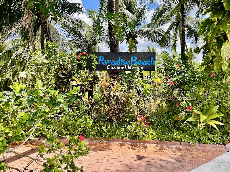 Paradise Beach Cozumel - Paradise Beach Cozumel Carr. Costera Sur, Zona Hotelera Nte., 77687 Cozumel, Q.R., Mexico