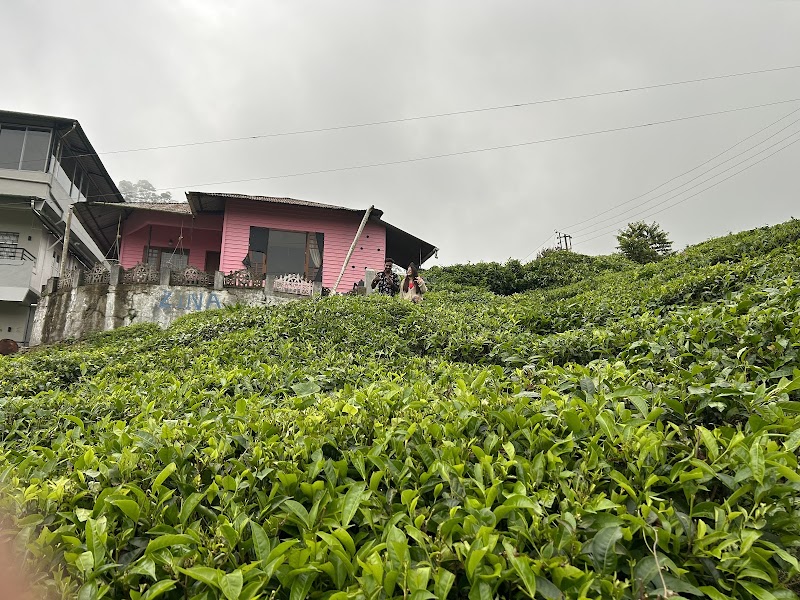 Zina Cottage - Zina Cottage NH-85, NEAR LIONS ENGLISH MEDIUM SCHOOL, Moolakadai, Munnar, Kerala 685612, India