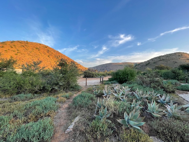 Karoo Wild Safaris - Karoo Wild Safaris, Kleinpoort, 6236, South Africa