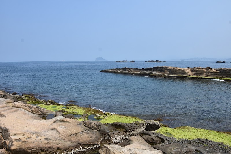 Yeliu Geology Park - Yeliu Geology Park, Wanli District, New Taipei City, Taiwan 207