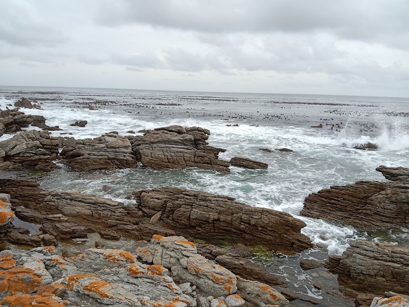 Silver Sands Beach - Silver Sands Beach, Central Way, Betty's Bay, 7141, South Africa