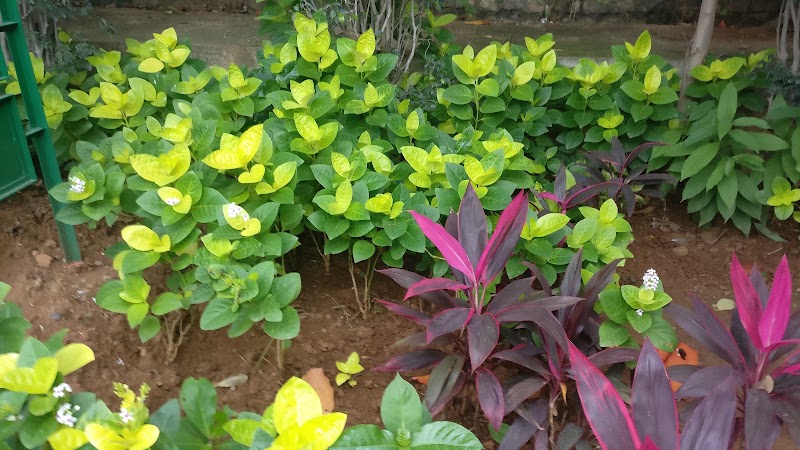 Bālayyana Kere Park - Bālayyana Kere Park 67, Anugraha nilaya, 2nd Main Rd, Govindaraja Nagar Ward, Sampige Layout, rod, Bengaluru, Karnataka 560079, India