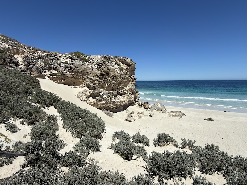 Seal Bay Conservation Park - Seal Bay Conservation Park, Seal Bay Rd, Seal Bay SA 5221, Australia
