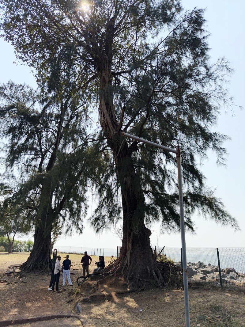 St. Angelo Fort (viewing point) - St. Angelo Fort (viewing point), V93F+6GV, Burnacherry, Kannur, Keralam 670017, India