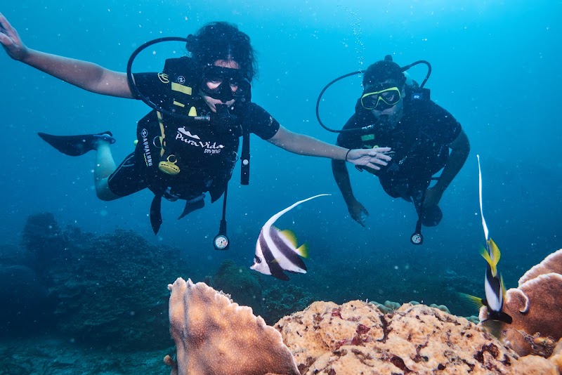 Pura Vida Diving - Pura Vida Diving, 9/24, ตำบล เกาะเต่า Koh Tao, สุราษฎร์ธานี 84360, Thailand