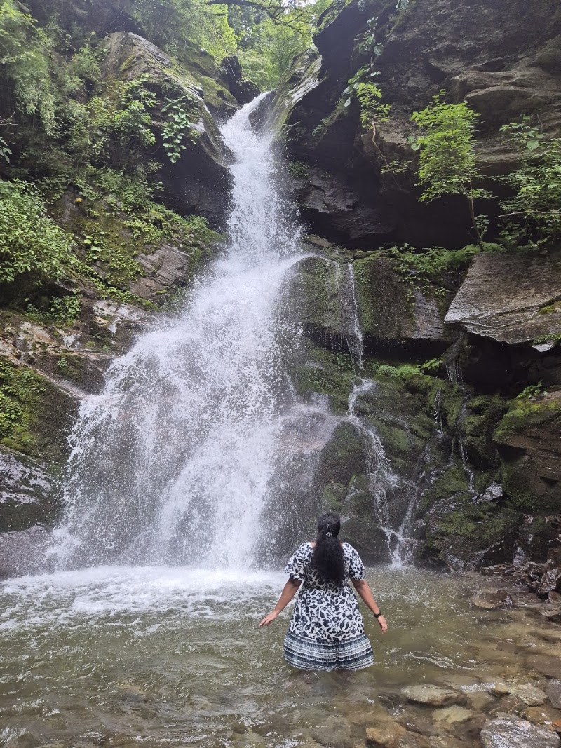 Shoja Waterfall Track Starting Point - Shoja Waterfall Track Starting Point, NH305, Sajwar, Himachal Pradesh 175123, India