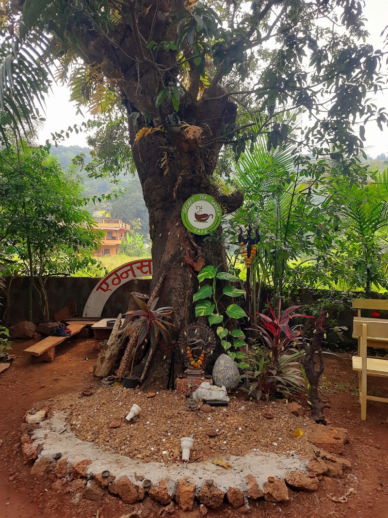 Secret Tea Garden Cafe - Secret Tea Garden Cafe PP52+R9C, Querim, Goa 403524, India
