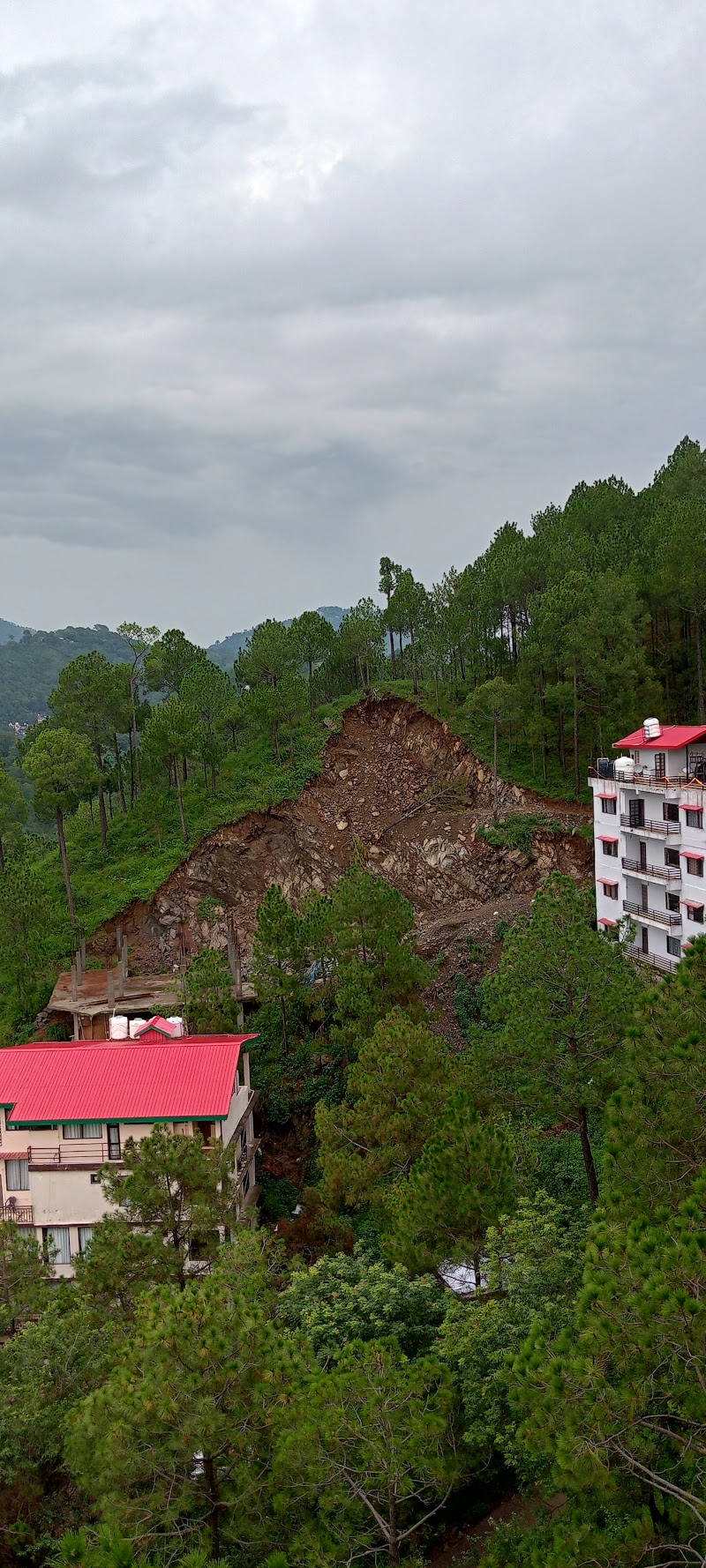 The Hill crest Kasauli - The Hill crest Kasauli The hill crest valley view apartments, Kasauli hills, Dharampur, Himachal Pradesh 173201, India