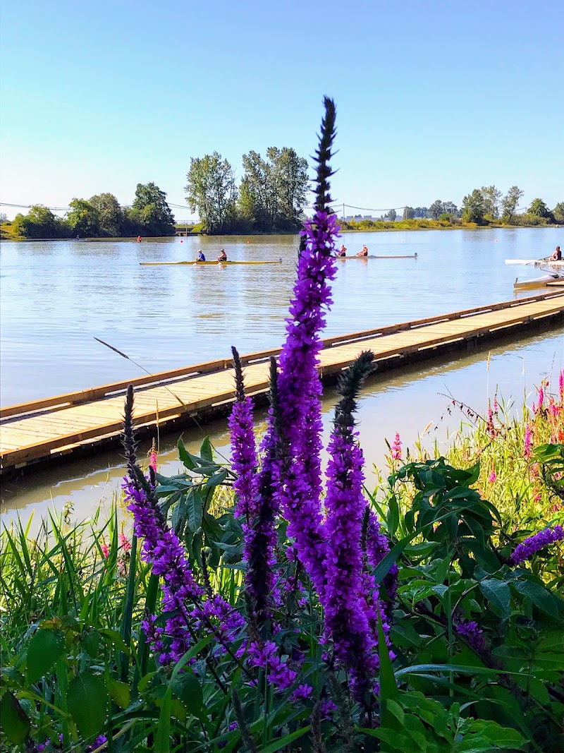 Station L Rowing Club - Station L Rowing Club, 403 SE Caruthers St, Portland, OR 97214, USA