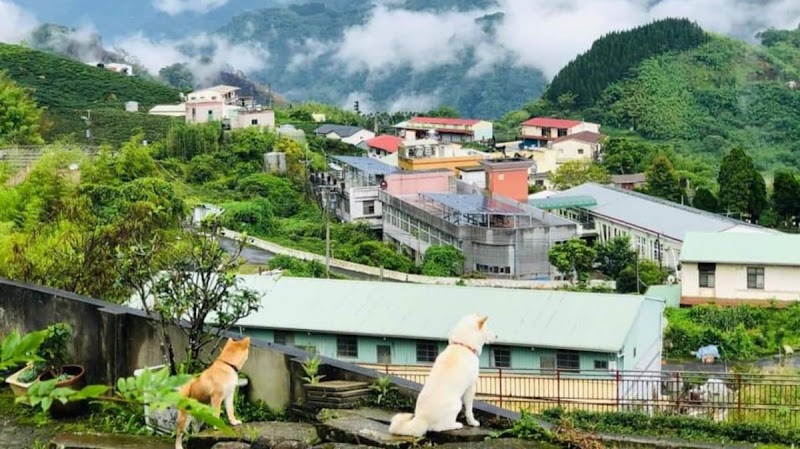 Chuxu homestay