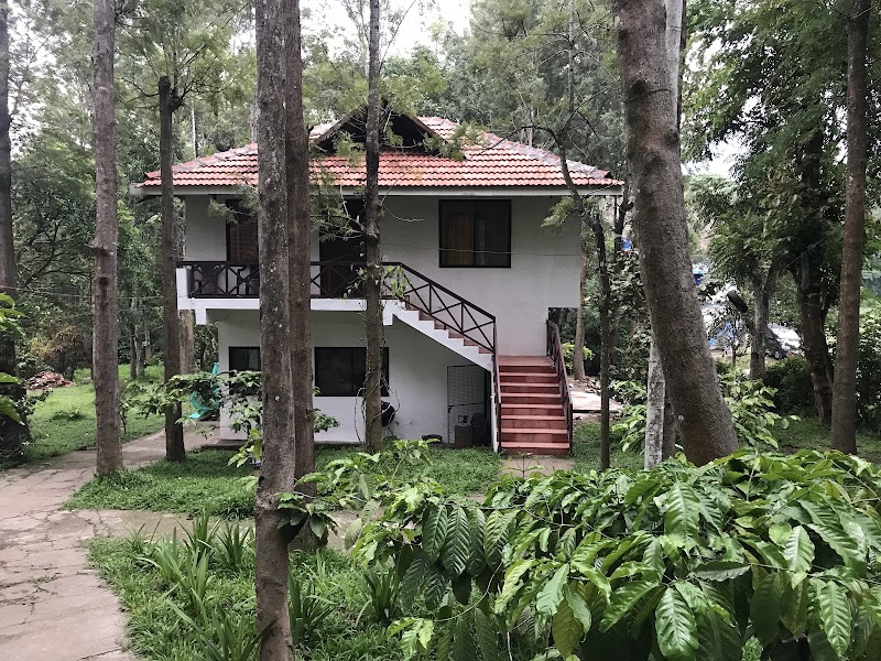 The Wilderness Resort