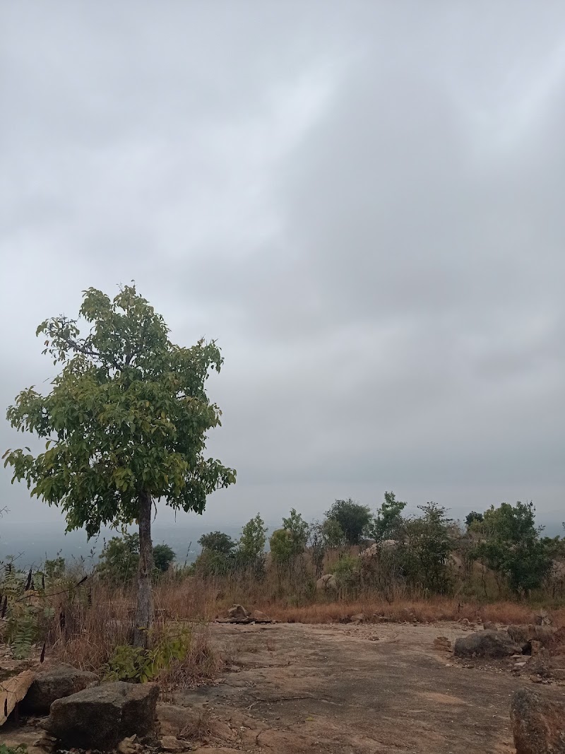 Muthurayaswamy Betta - Muthurayaswamy Betta Unnamed Road, Bettahalli Kaval, Ravugodlu, Karnataka 562112, India