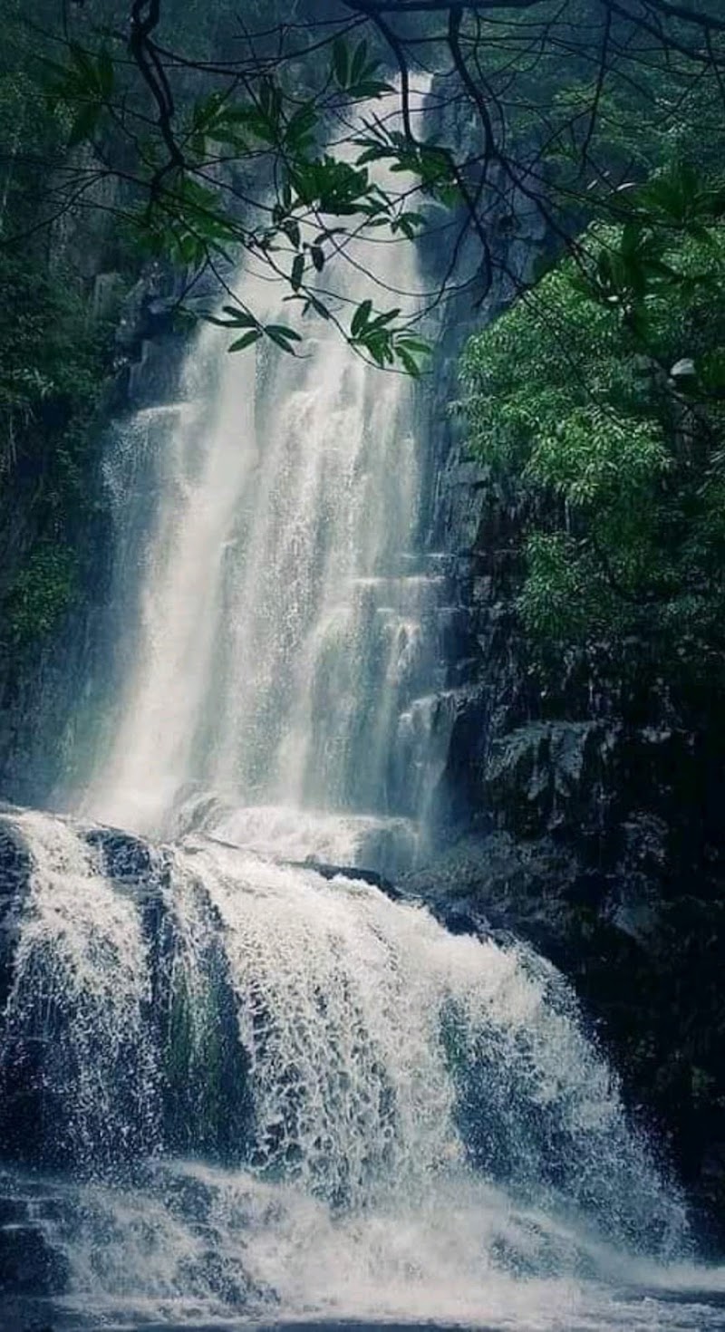 Bastar - Bastar Bastar, Chhattisgarh 494223, India