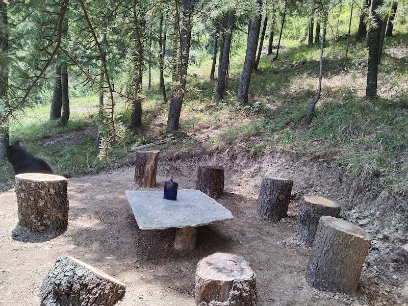 CHANDEL FOREST - CHANDEL FOREST 3C3Q+289, Darghot, Himachal Pradesh 171220, India