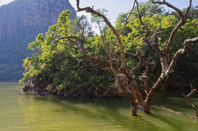 Blyde Canyon Safaris - Blyde Canyon Safaris, Byderivierpoort Dam, 1380, South Africa