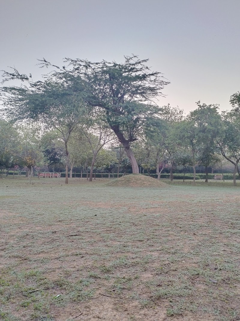 Tughlakabad District Park - Tughlakabad District Park, G759+R73, Mehrauli - Badarpur Rd, Tughlaqabad Village, Tughlakabad, New Delhi, Delhi 110044, India