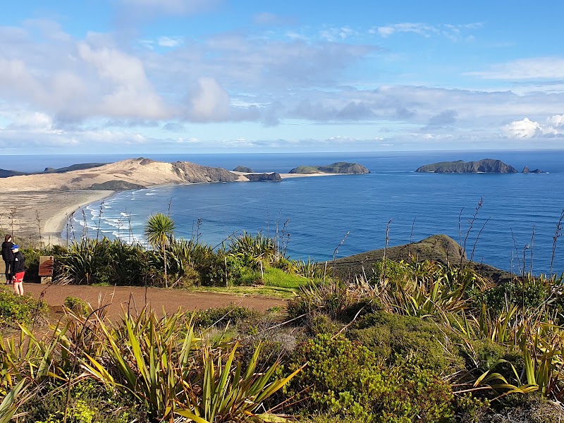 Mullarkey Tours - Mullarkey Tours 69 Marsden Road, Paihia 0200, New Zealand