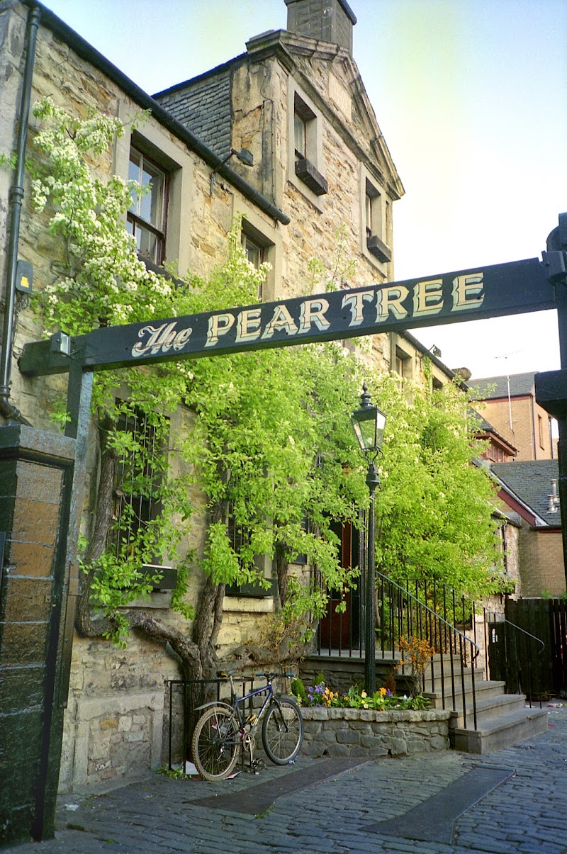 The Pear Tree - The Pear Tree 38 W Nicolson St, Edinburgh EH8 9DD, UK