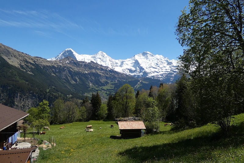 Jungfrau Region Tourism - Jungfrau Region Tourism, Kammistrasse 13, 3800 Interlaken, Switzerland