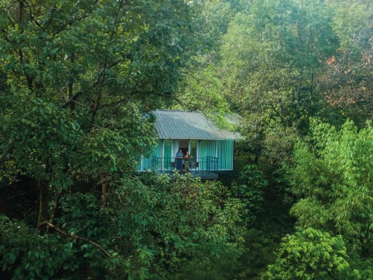 Wayanad Wild - CGH Earth - Wayanad Wild - CGH Earth Lakkidi, Kunnathidavaka, Kerala 673576, India
