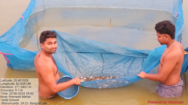 JP FISH AND FISH SEEDS FARM - JP FISH AND FISH SEEDS FARM, Ch, Bhalumunda, Chhatrang, Odisha 767060, India