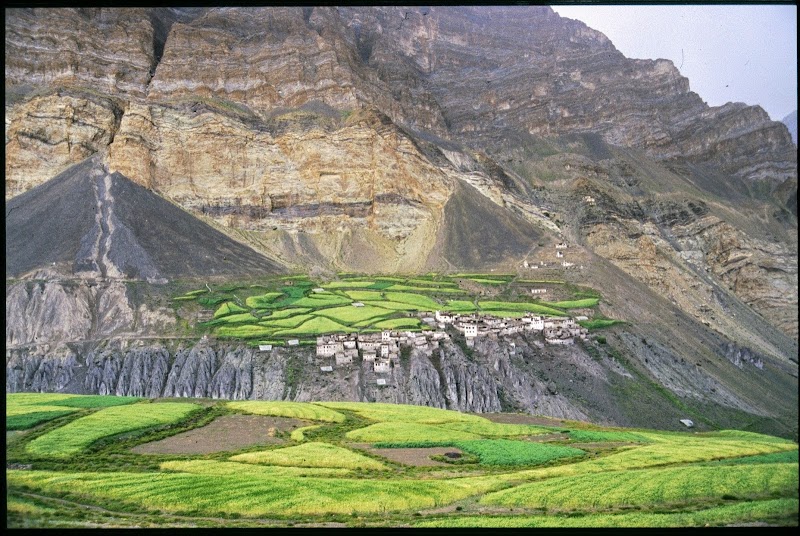 Photoksar - Photoksar 194106