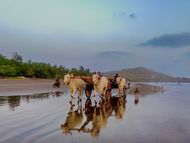Anjarle Beach - Anjarle Beach, Maharashtra 415714, India