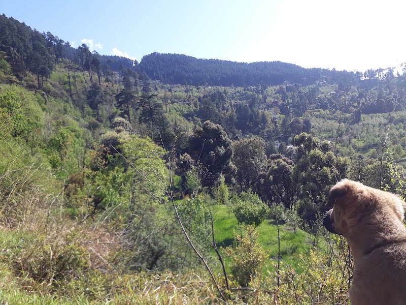 Yash Home Stay (Happiness Home) - Yash Home Stay (Happiness Home) V.p.o Jari District kullu Tehsil Bhunter, Jari, Himachal Pradesh 175105, India