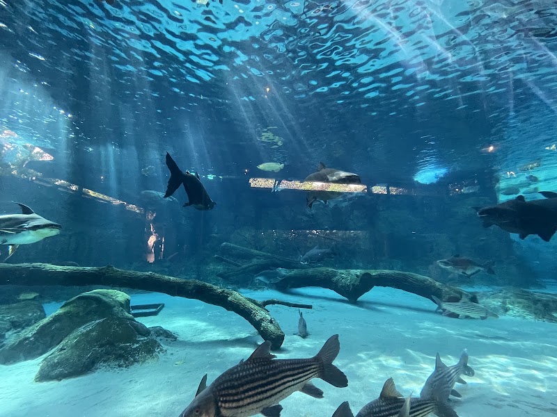 River Wonders - River Wonders 80 Mandai Lake Rd, Singapore 729826