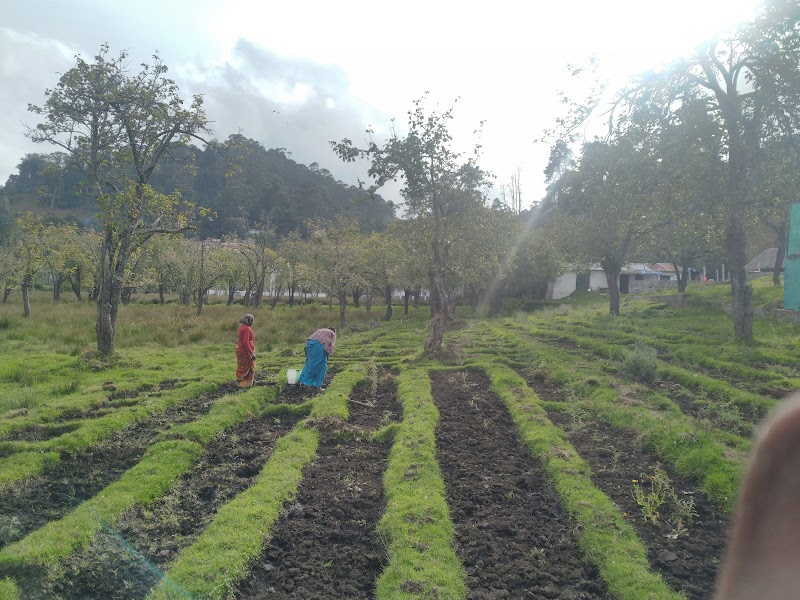 Kurinji Farms - Kurinji Farms 3, Lloyd's Rd, Kodaikanal, Tamil Nadu 624101, India
