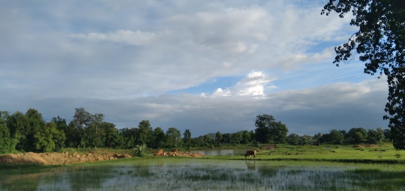 Ekagudi band - Ekagudi band G733+JFW, Dabjor, Odisha 767032, India