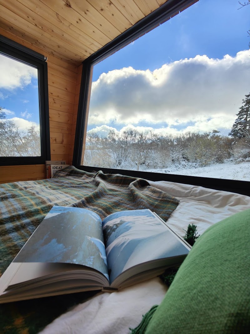 MOOSE Tiny house Chaumes Hébergement en Auvergne - MOOSE Tiny house Chaumes Hébergement en Auvergne Les Chaumes, 63230 Saint-Jacques-d'Ambur, France