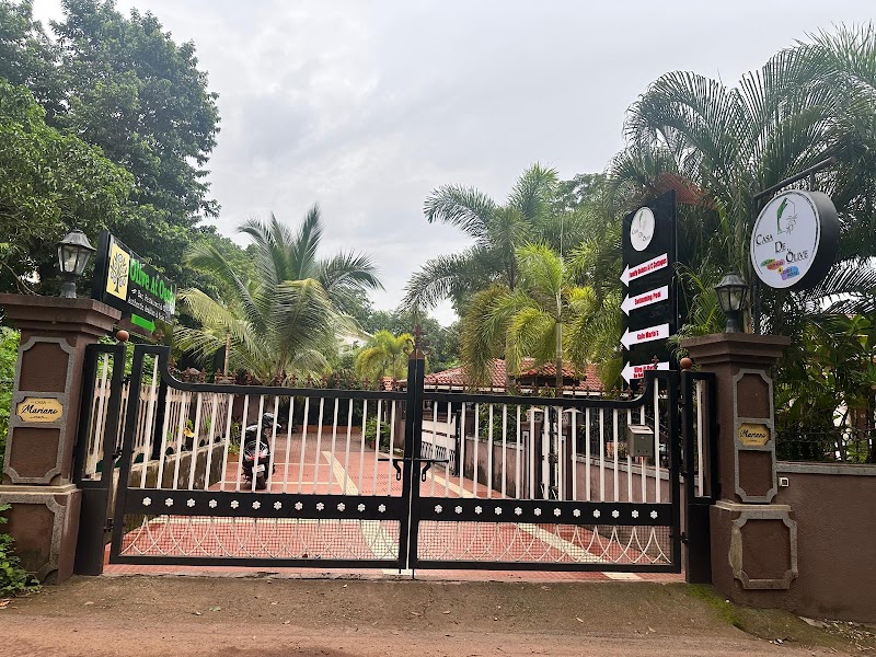 Olive at Oasis - Olive at Oasis House no. 1179, Gaumwaddi, Anjuna, Goa 403509, India