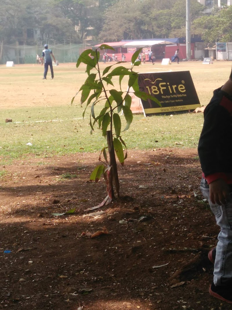 Home Ground Turf - Home Ground Turf, Thakur Stadium, Thakur, Phase 1, Thakur Village, Kandivali East, Mumbai, Maharashtra 400101, India