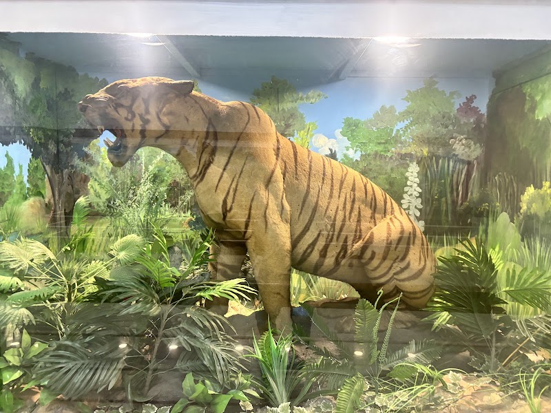 prayagraj Museum - prayagraj Museum Museum, Kamla Nehru Rd, Civil Lines, Prayagraj, Uttar Pradesh 211002, India