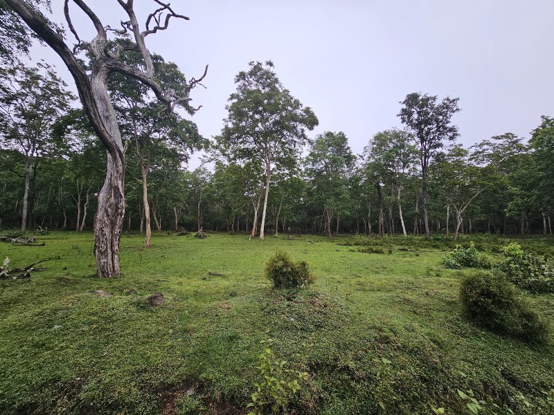 Nagarhole national park entrance from Kabini side - Nagarhole national park entrance from Kabini side, W6VP+WQF, Nisna, Karnataka 571114, India
