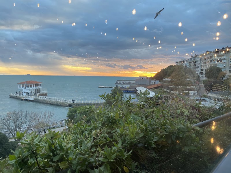 KADIKÖY - MODA - KADIKÖY - MODA, Caferağa, Moda Cd. No:90, 34710 Kadıköy/İstanbul, Türkiye