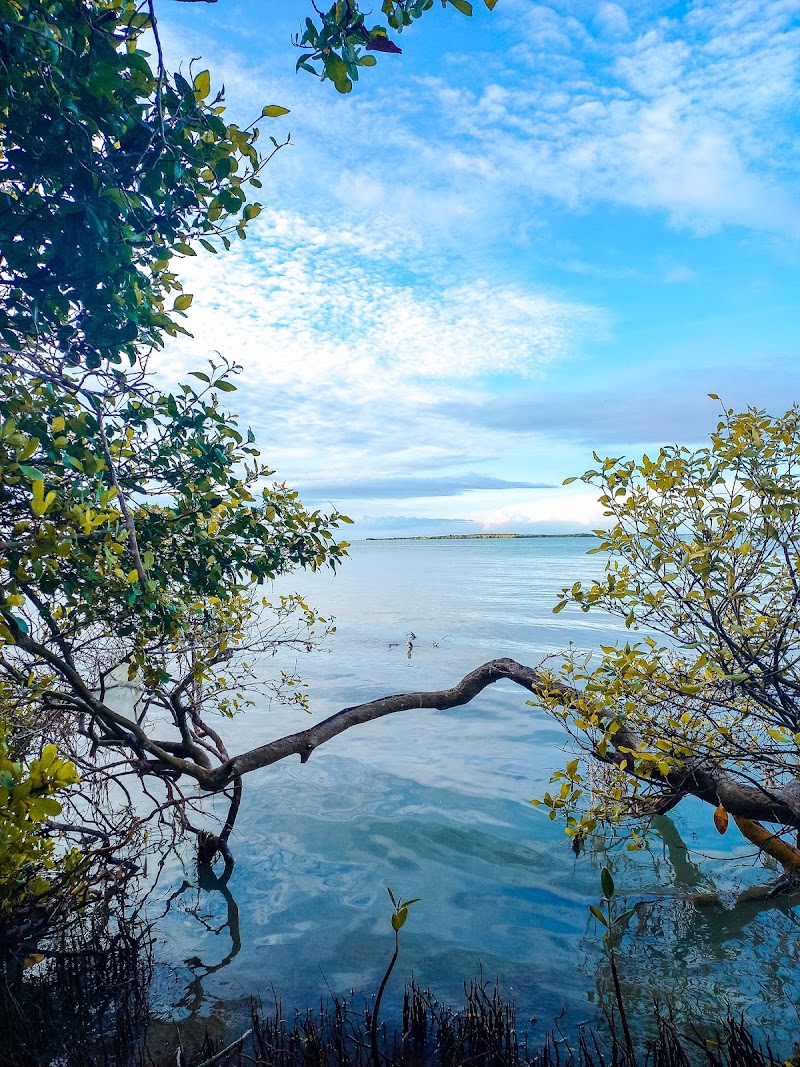 Dutch Bay