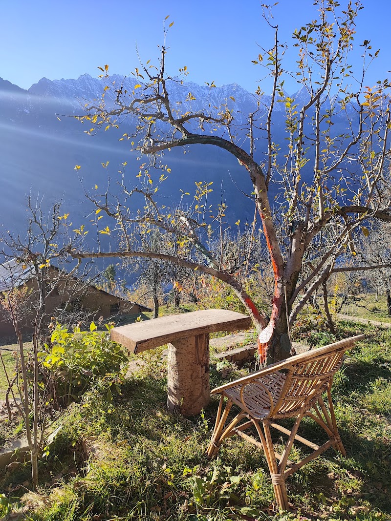 The Mountain House Manali - The Mountain House Manali Unnamed Road, Bashisht, Himachal Pradesh 175103, India