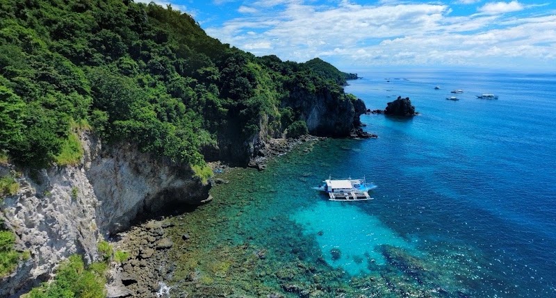 Apo Island Marine Sanctuary - Apo Island Marine Sanctuary, 37FC+M6V Apo Island, Dauin, Negros Oriental, Philippines