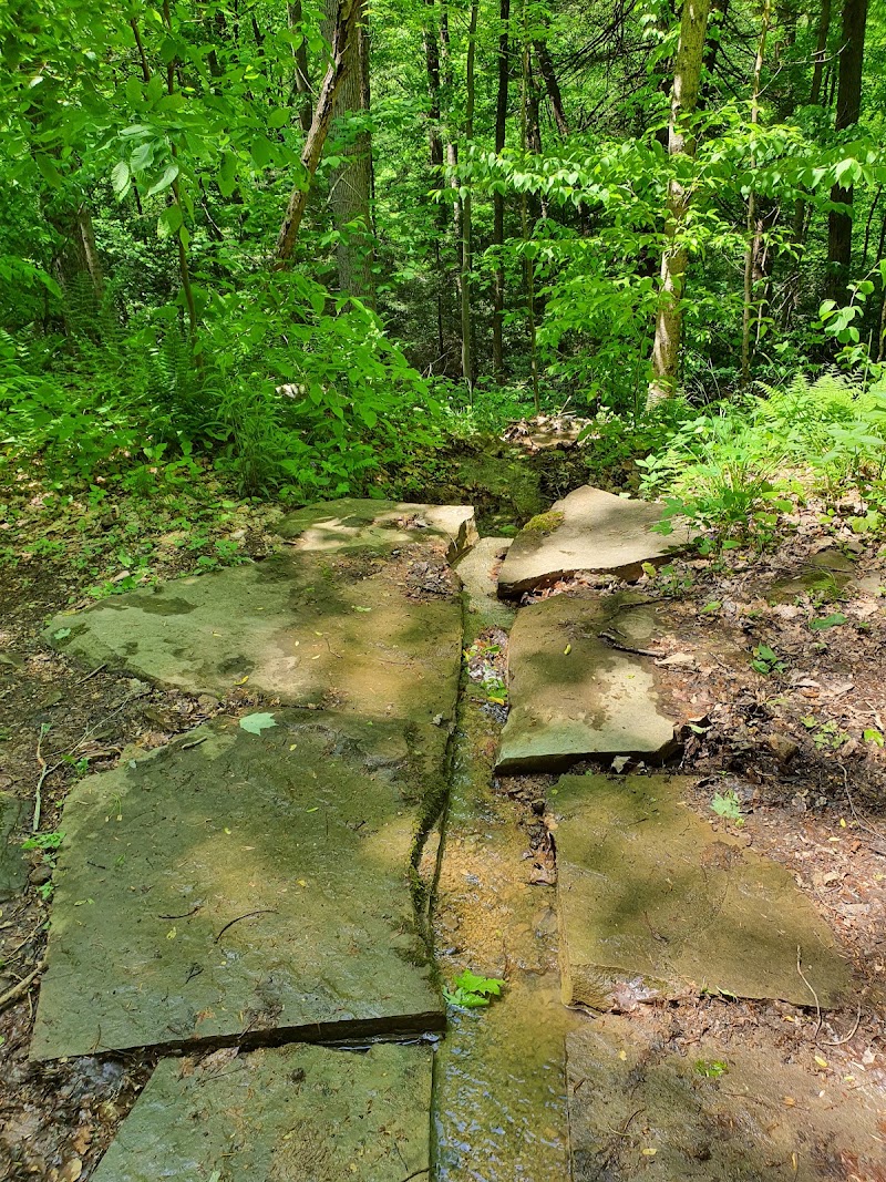 Fallingwater - Fallingwater, 1491 Mill Run Rd, Mill Run, PA 15464, USA