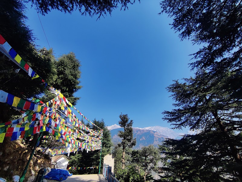 Dalai Lama Temple, Tsuglagkhang Complex - Dalai Lama Temple, Tsuglagkhang Complex Tsuglakhang Complex, McLeod Ganj, Dharamshala, Himachal Pradesh 176215, India