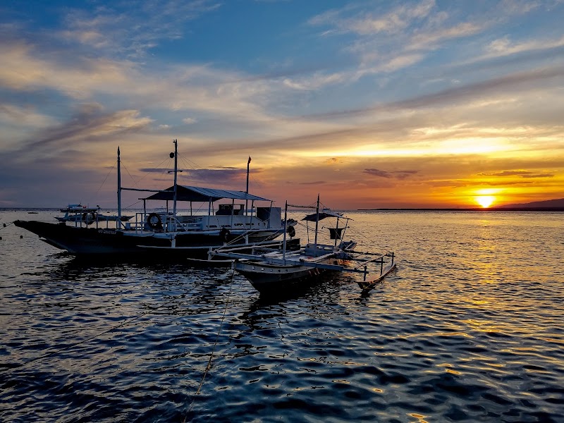 Mario's Scuba Diving and Homestay - Mario's Scuba Diving and Homestay, Apo Island, Dauin, Negros Oriental, Philippines