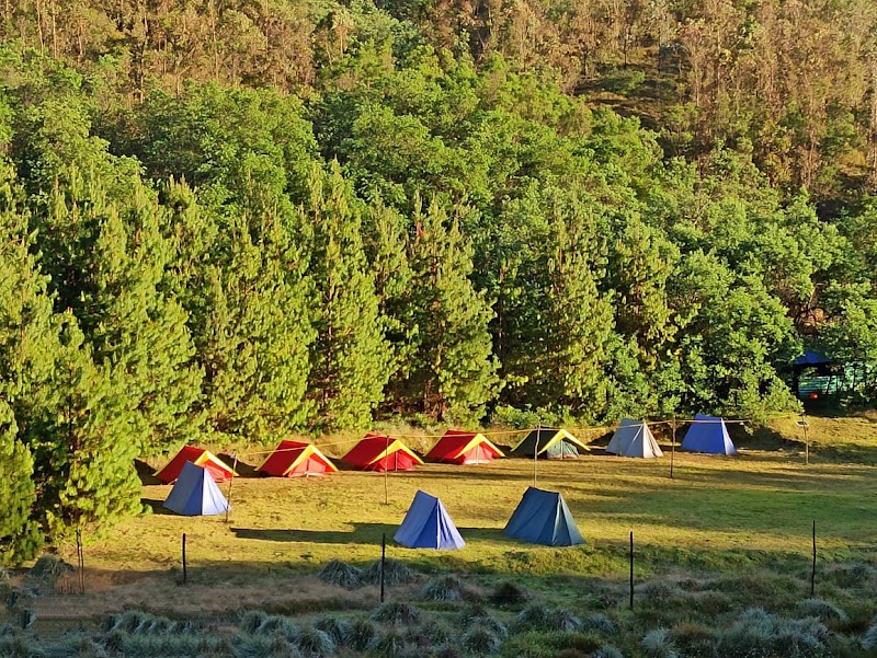 Route49 Adventures & Offbeat Experiences - Route49 Adventures & Offbeat Experiences 1st Floor Kalinivas Building, near Gandhi Statue, Nullatanni, Munnar, Kerala 685612, India