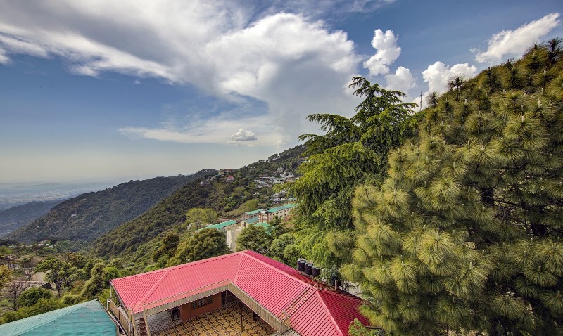 Treebo Roshan House Near Mcleodganj - Treebo Roshan House Near Mcleodganj, Dal Lake Road, Naddi, Tangle Board, McLeod Ganj, Dharamshala, Jangal Reserve Banoi, Himachal Pradesh 176216, India
