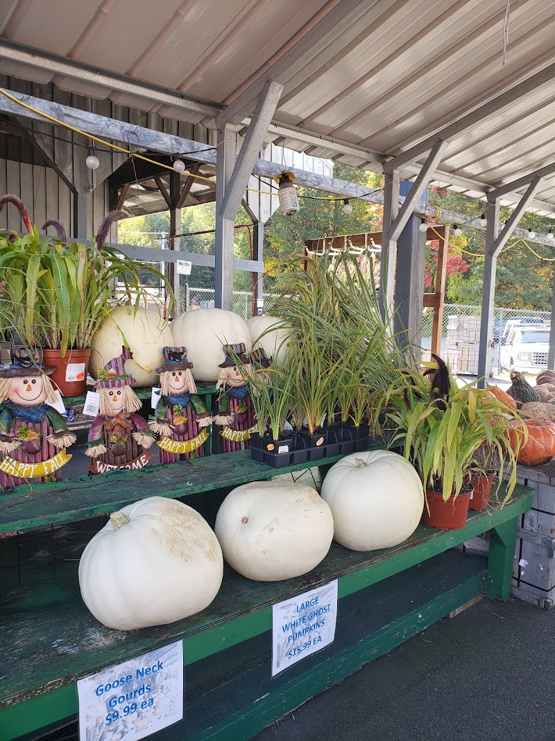 Bolton Orchards - Bolton Orchards, 125 Still River Rd, Bolton, MA 01740, USA